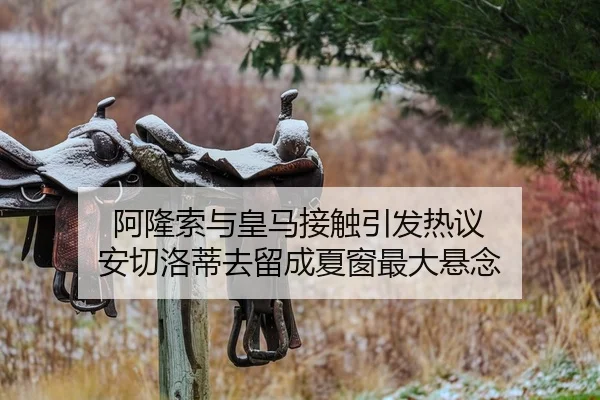 阿隆索与皇马接触引发热议 安切洛蒂去留成夏窗最大悬念